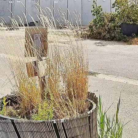 شقة Hochwertiges Kuestenapartment Am *